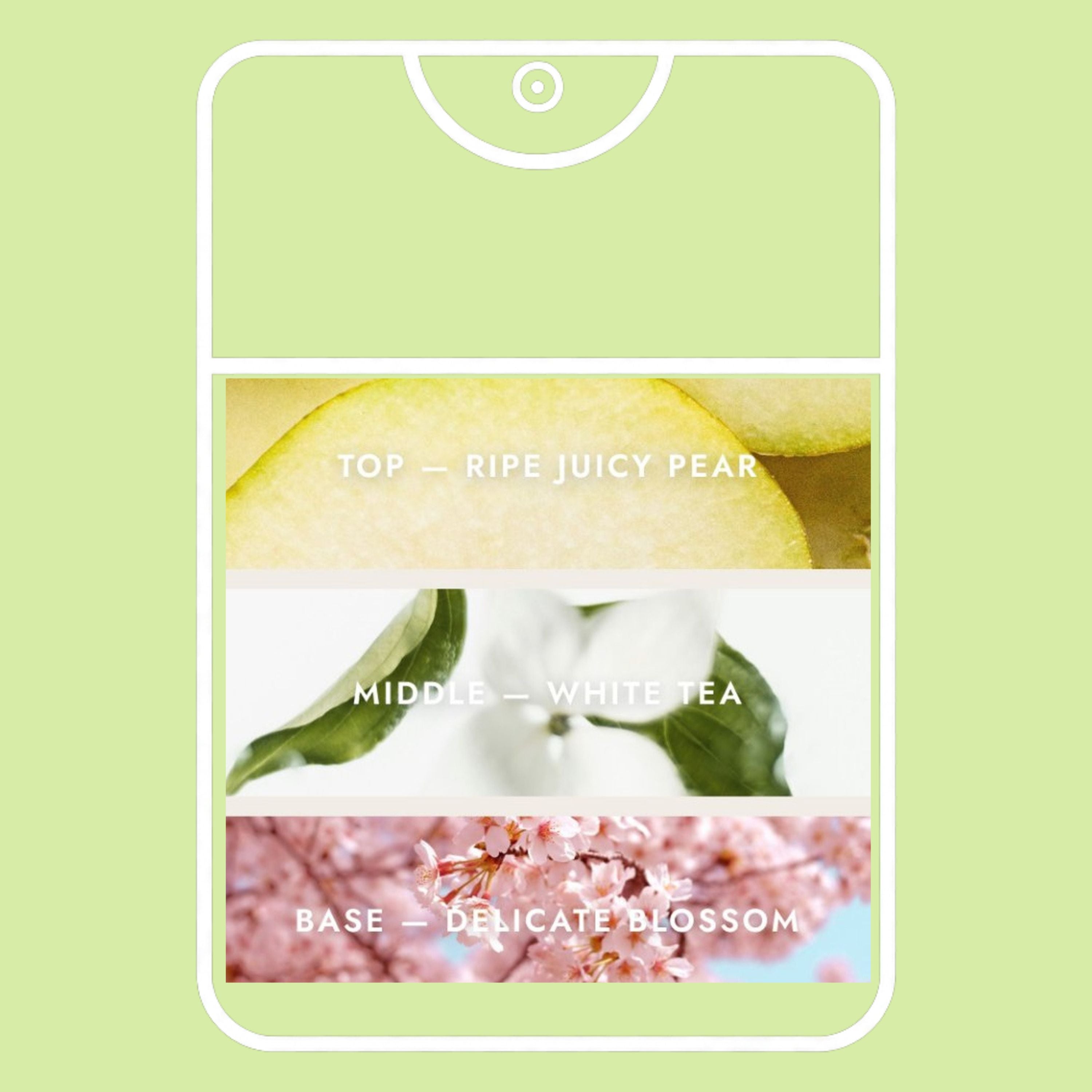 Pear Blossom Tea Duo