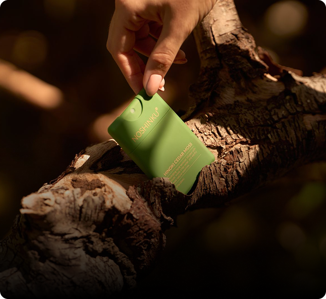 Hinoki Cedar Moss