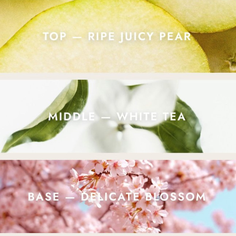 Pear Blossom Tea Refill